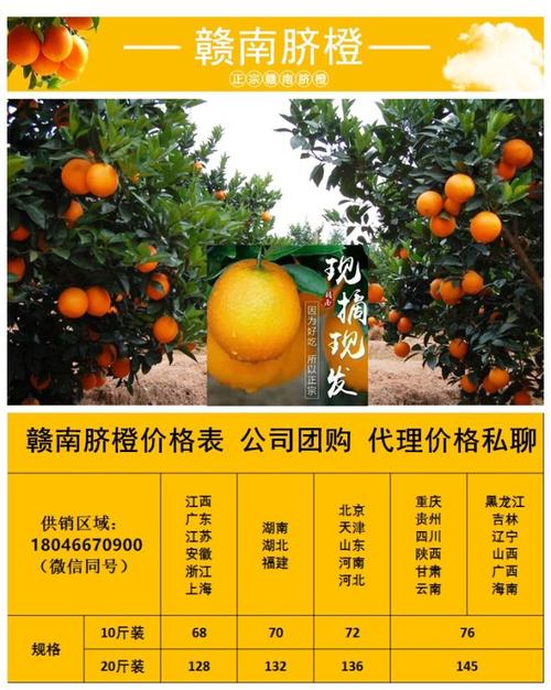 赣南脐橙|一年好景君须记,最是橙黄橘绿时.