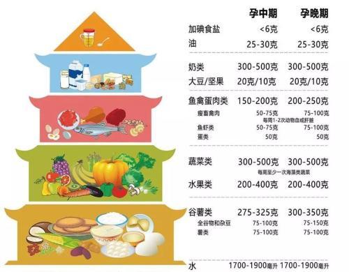 营养膳食塔简笔画