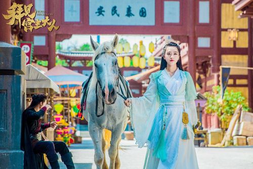 《拜见宫主大人》搜狐视频上线 关智斌孙雪宁上演最反
