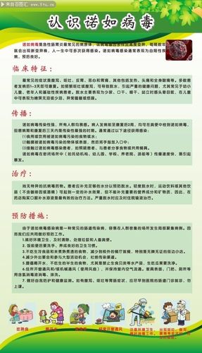 诺如病毒知识宣传图片下载