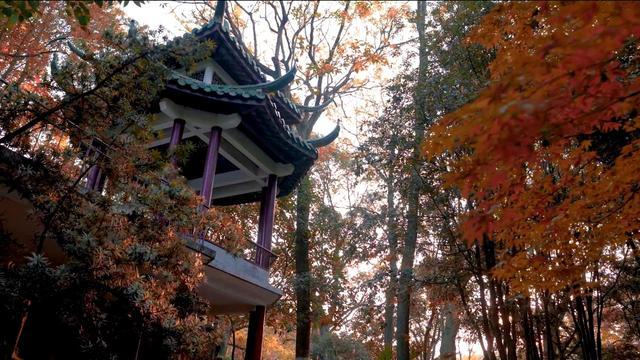 瀛洲公园,上新啦