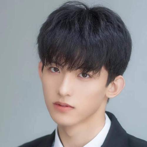 假发男生短发韩版帅气逼真网红自然蓬松时尚黑色学生男士全头套式