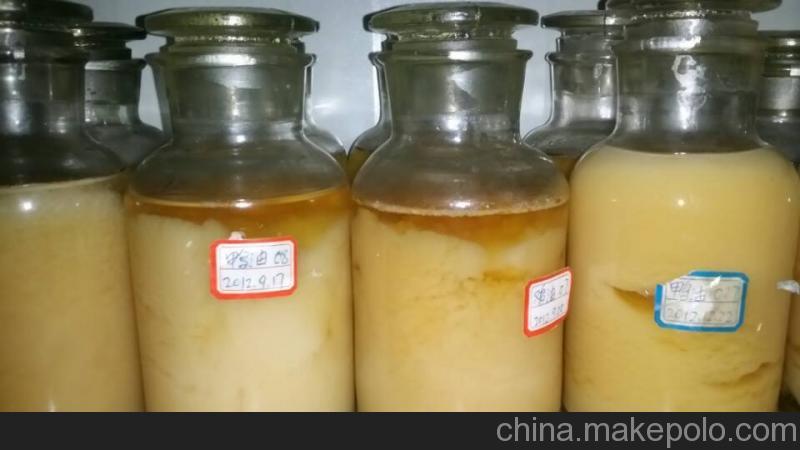 加工动物油脂