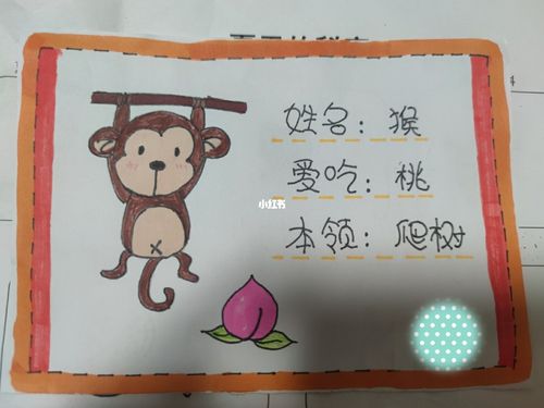 动物名片,夏天的秘密_夏天去哪玩_文化_绘画