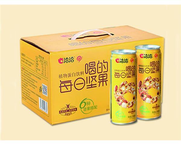 洽洽每日坚果植物蛋白饮料240ml*12