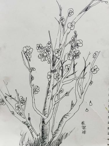 梅花写生——丹青书画空间造型艺术中级班作品