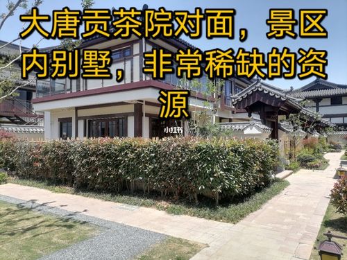 大唐贡茶院_投资_别墅_杭州买房_商业财经_楼市资讯
