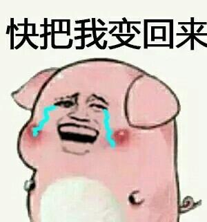 变猪喷雾qq表情_变猪喷雾表情包图片 高清无水印