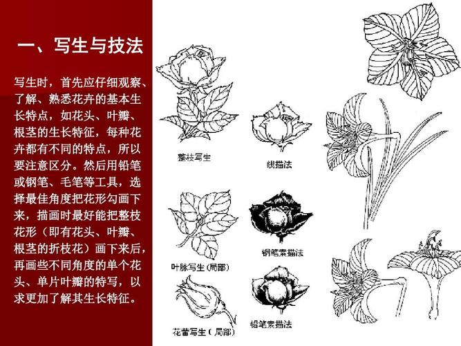 图案变形与技法(1)ppt