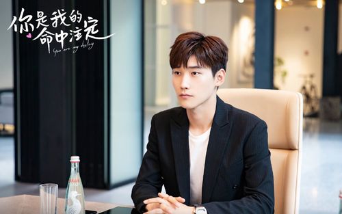 邢昭林《你是我的命中注定》剧照图片壁纸