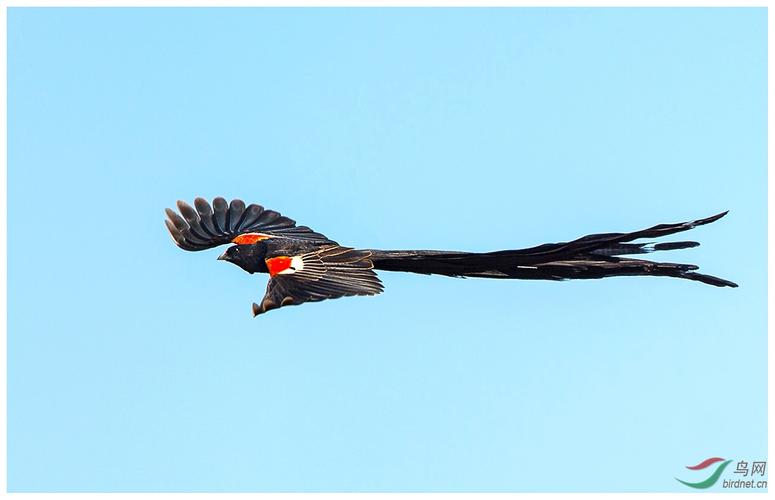 庆祝香港回归20周年