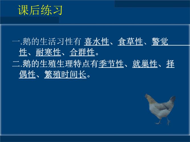 鹅的生殖生理特点有季节性ppt6页