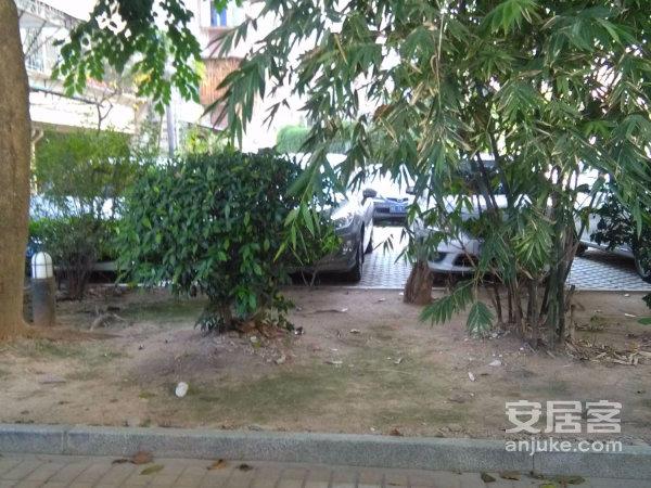 银苑花园,元光南路20号 - 漳州银苑花园二手房,租房,房价-漳州安居客