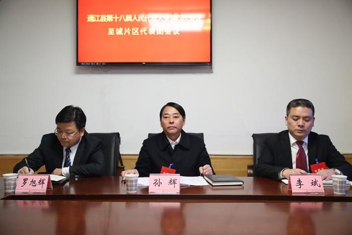 县人代会孙辉参加县十八届人大四次会议至诚片区代表团讨论