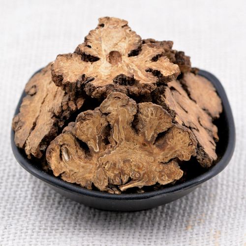 今日养生药材—川穹