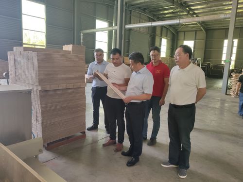 清丰县副县长韩晓东带队赴庞氏集团笨笨猫实木地板厂参观考察
