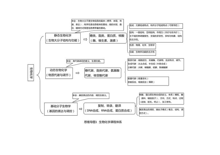生物化学思维导图