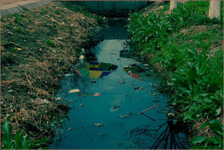 标题:《《《臭水沟》》》——环保问题,不容忽视!(二)