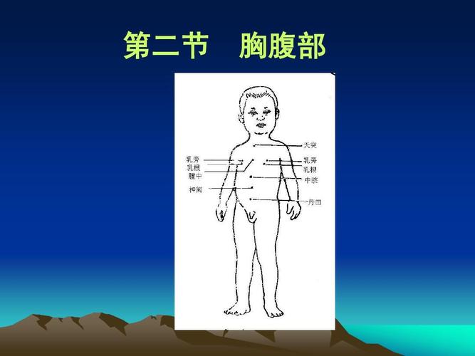 第二节 胸腹部