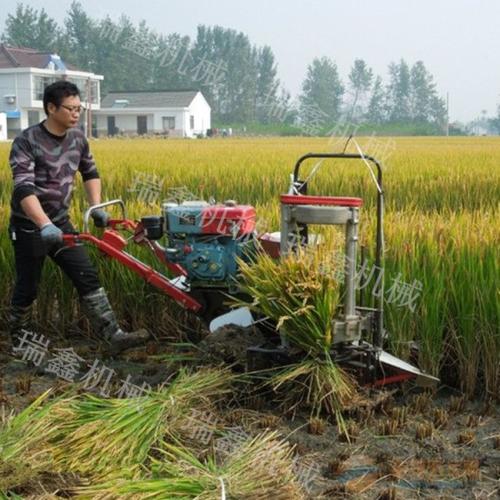 水稻小麦收割打捆机 手扶芦苇收割机 多功能药材收割机