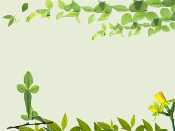 基督教讲课模板3ppt