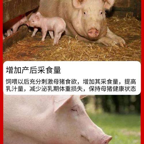 【华农利邦】 产后大补 母猪产后护理保健强力增奶改善奶质食欲不佳