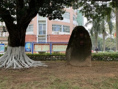 暨南大学华文学院