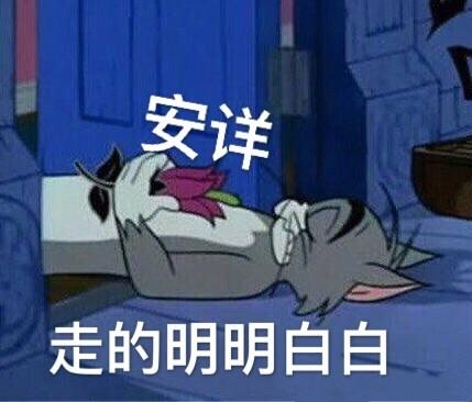 汤姆表情包:像不像刚熬完夜的你