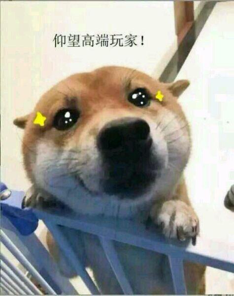 仰望大佬表情包