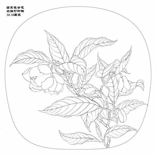 2016年《临宋夜合花》步骤图--凌达(王焱)