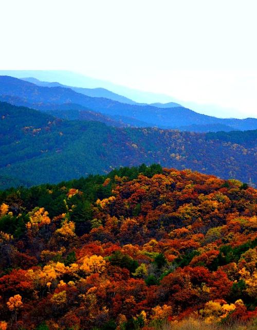  p>子午岭,唐代以前称"桥山",现代仍有资料称桥山山脉,即广义的"子午