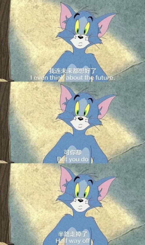 猫和老鼠壁纸记忆里的tomandjerry