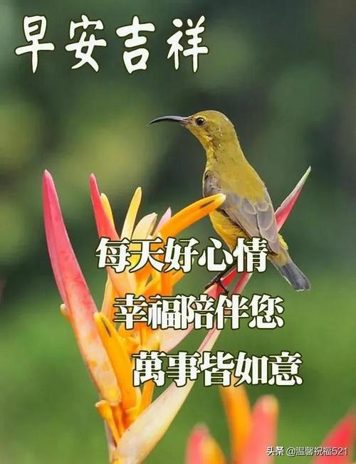 大年初七最新创意早安图片精选唯美早上好问候祝福图片带字温馨