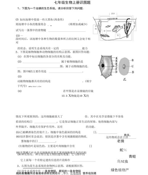 人教版七年级生物上册识图题集锦.docx 16页