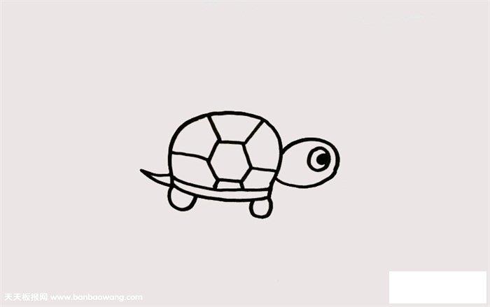 简单的乌龟怎么画,简单又可爱的小乌龟怎么画