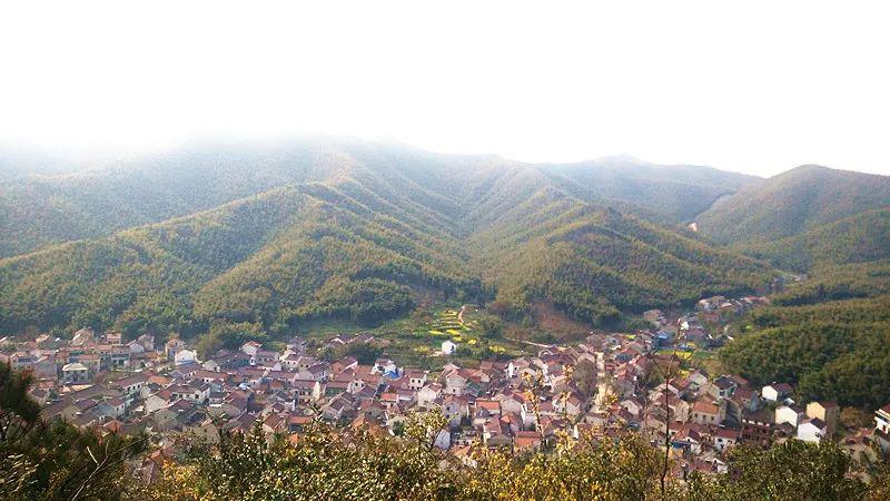 太华镇太平村成功获评"2020年度宜兴市农村人居环境整治综合示范村"!