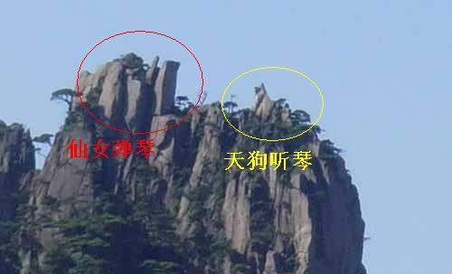 黄山怪石中仙女弹琴长什么样
