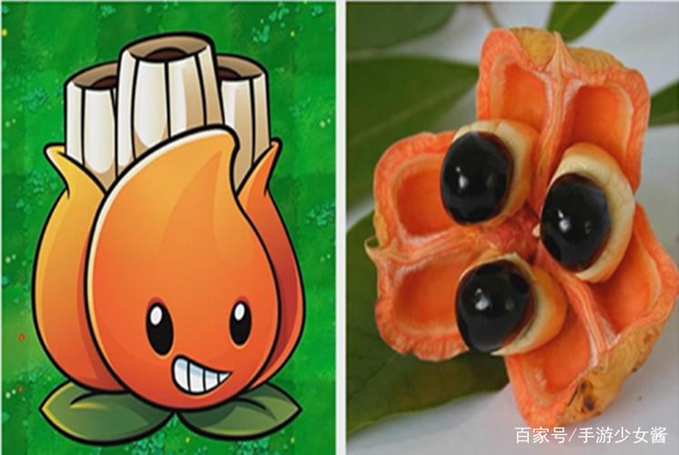 植物大战僵尸12种稀有植物与现实对应,失速牡丹竟是