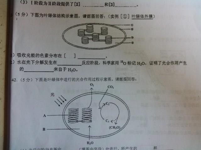 (1)下图为叶绿体结构示意图 两个题