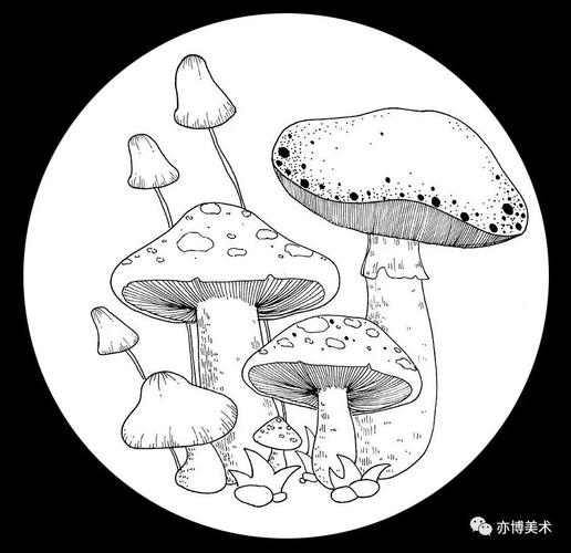 艺考 湖南画室 邵阳 亦博美术 【马克笔线描创意手绘】一遍可爱的蘑菇