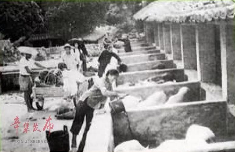 △新中国成立初期,束鹿县作物的耕种收获全靠人工或大