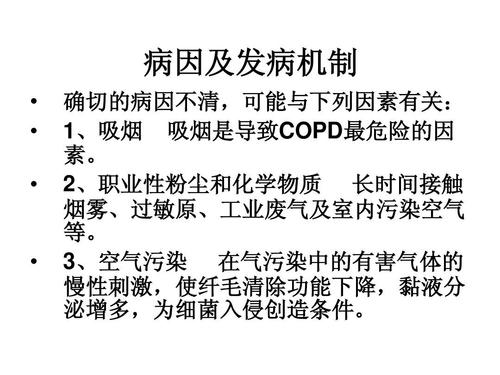 慢性阻塞性肺疾病病人的护理ppt