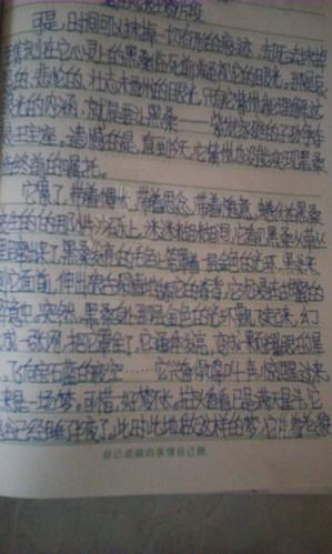 怎么写感受啊?
