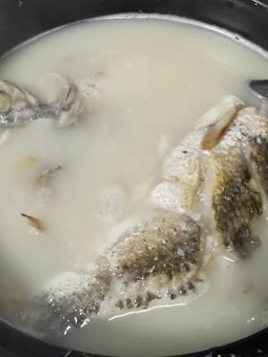 奶白鱼汤