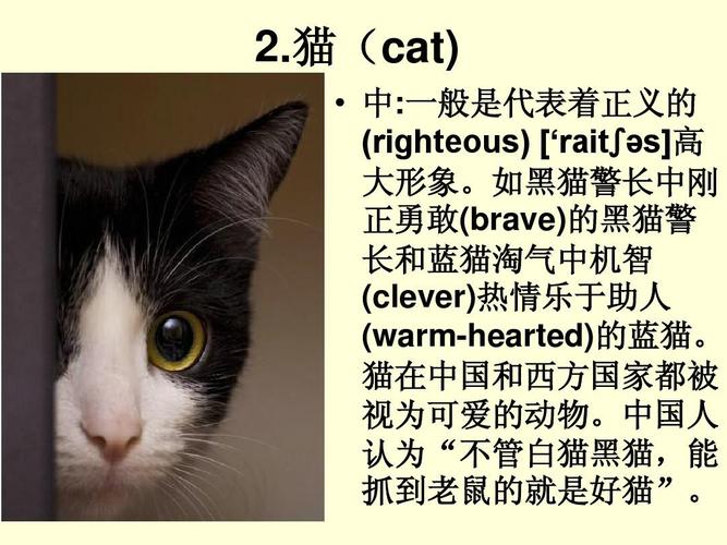中西方对动物文化差异ppt