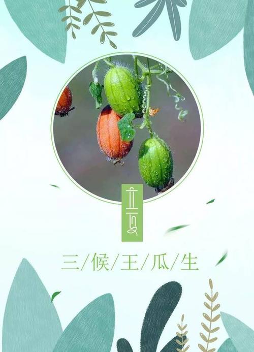 夏天就风风火火地来了  给予了万物肆意生长的力量  【立夏·三候】