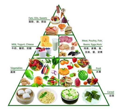 遵循营养金字塔,身壮力健强如塔!