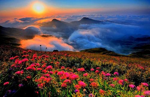 首页 毕节市旅游景点 赫章县旅游景点      韭菜坪附近居民多为彝族.