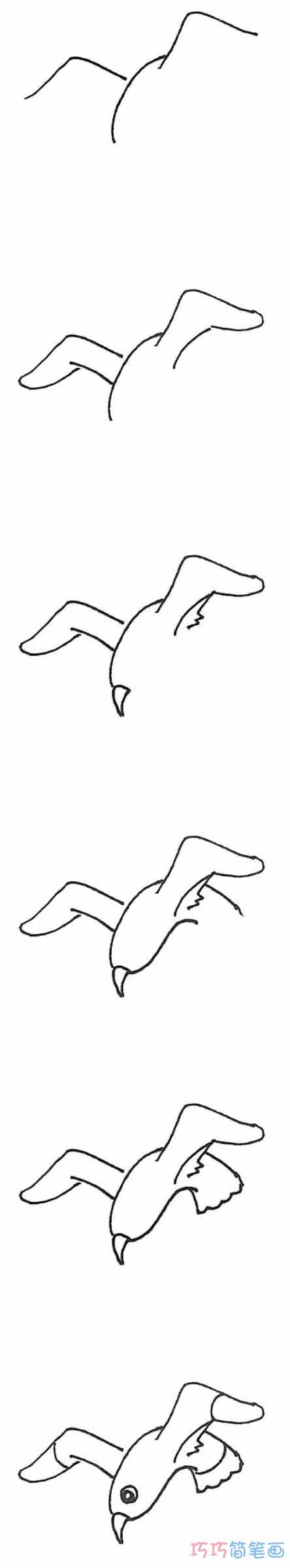 怎么绘画彩色海鸥的画法带步骤图简笔画图片