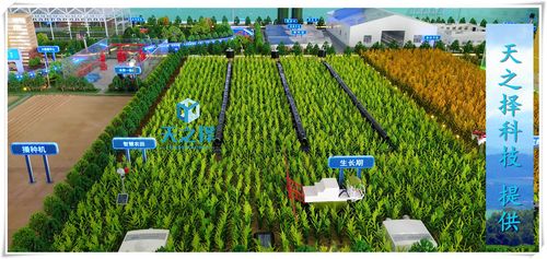 农业沙盘 农田滴灌沙盘 滴灌场景沙盘